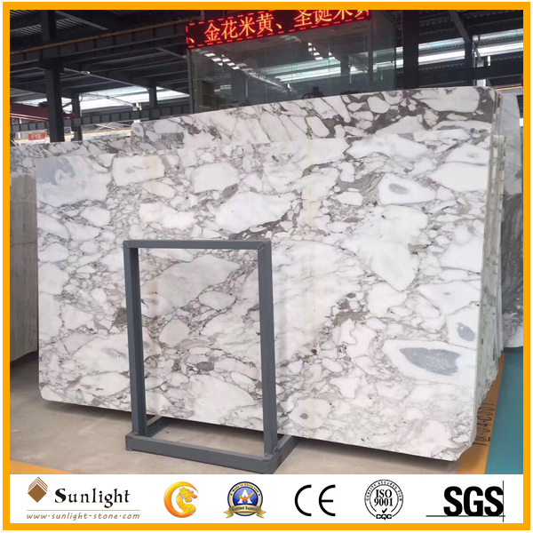China Calacatta White marble slabs