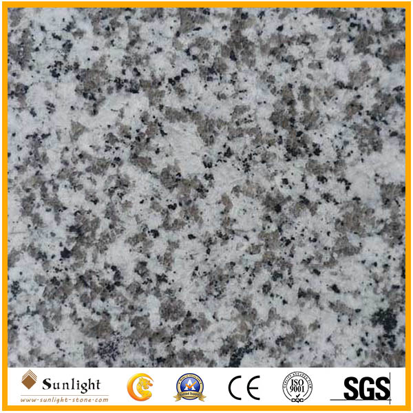 G439 Big Flower White Granite for Kit